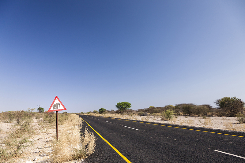 カラハリ砂漠　アスファルト道路　動物危険の看板