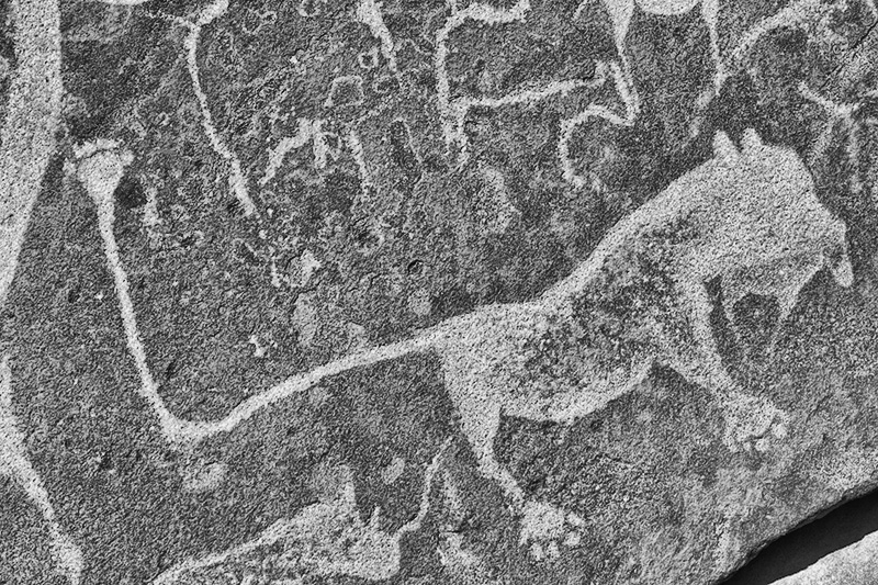 トゥウェイフルフォンテーン　ナミビア　古代岩絵　namibia twyfelfontein rock art　lion man