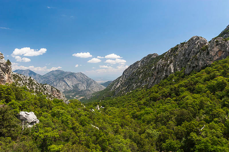 テルメッソス　遺跡　トルコ termessos turkey