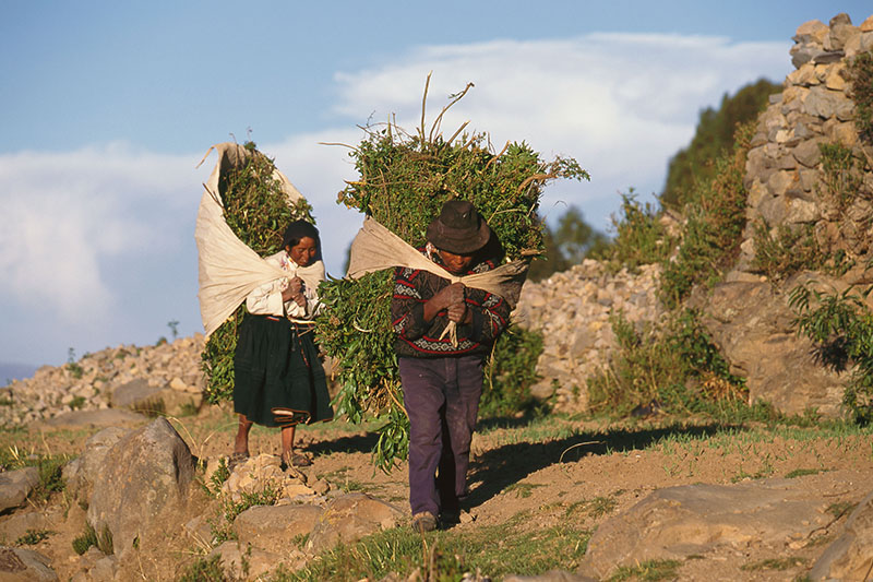 チチカカ湖　アマンタニ島　ペルー　lake titicaca and amantani island peru