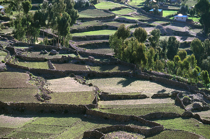 チチカカ湖　アマンタニ島　ペルー　lake titicaca and amantani island peru