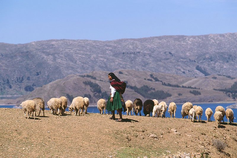 チチカカ湖　ペルー　lake titicaca peru