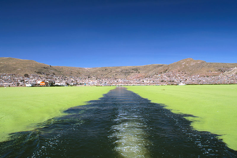 チチカカ湖　プーノ　ペルー　lake titicaca and puno town peru