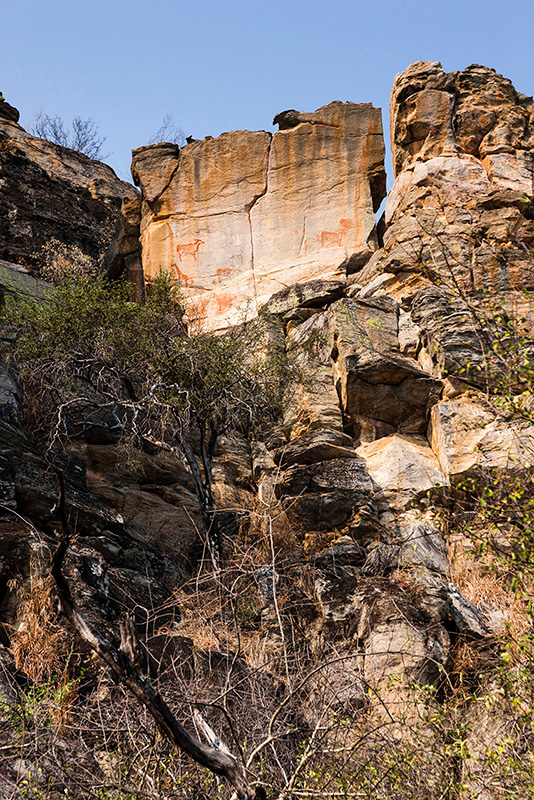 ツォディロ・ヒルズ　古代岩絵　ボツワナ　rock paintings tsodilo hills botswana