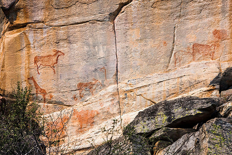 ツォディロ・ヒルズ　古代岩絵　ボツワナ　rock paintings tsodilo hills botswana