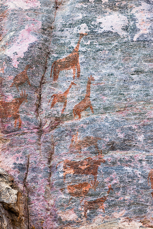 ツォディロ・ヒルズ　古代岩絵　ボツワナ　rock paintings tsodilo hills botswana