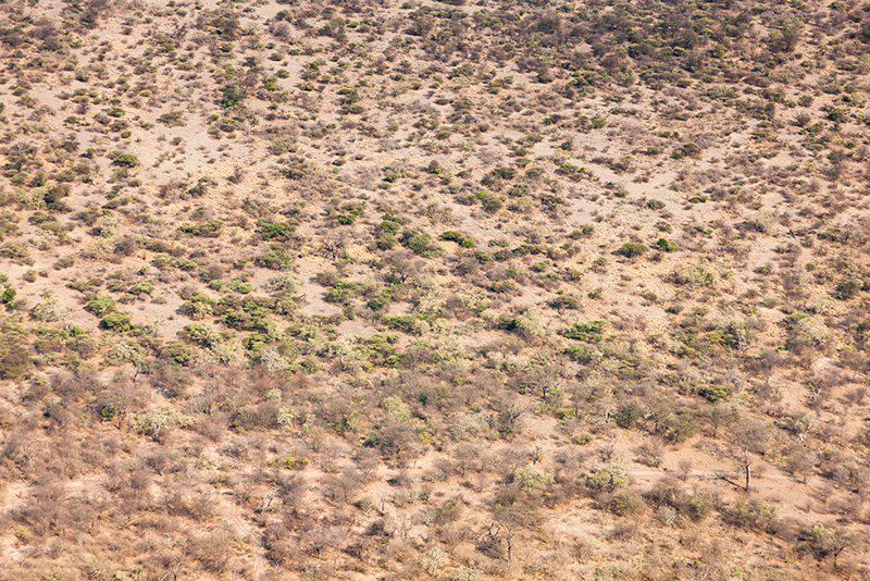 カラハリ砂漠　ボツワナ　kalahari desert botswana