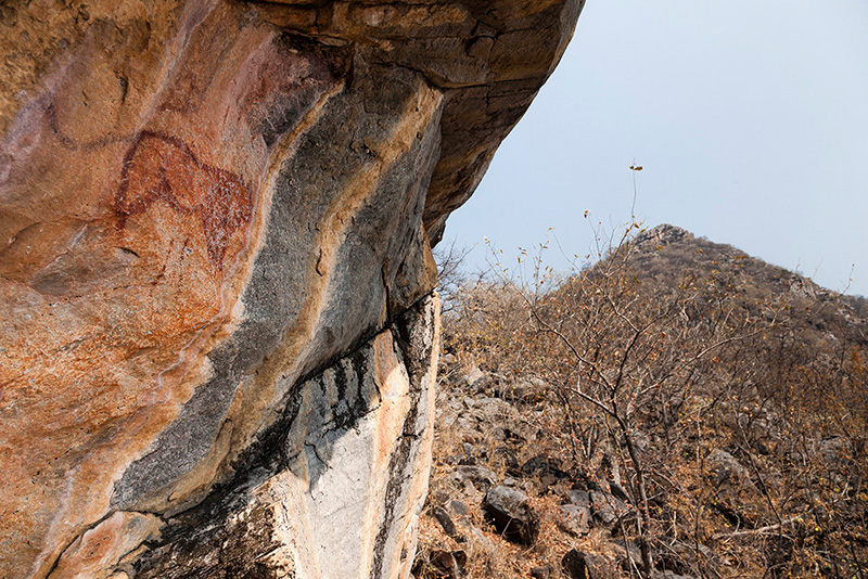 ツォディロ・ヒルズ　古代岩絵　ボツワナ　rock paintings tsodilo hills botswana