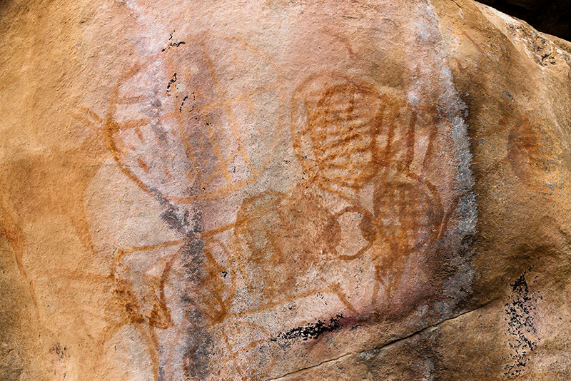 ツォディロ・ヒルズ　古代岩絵　ボツワナ　rock paintings tsodilo hills botswana