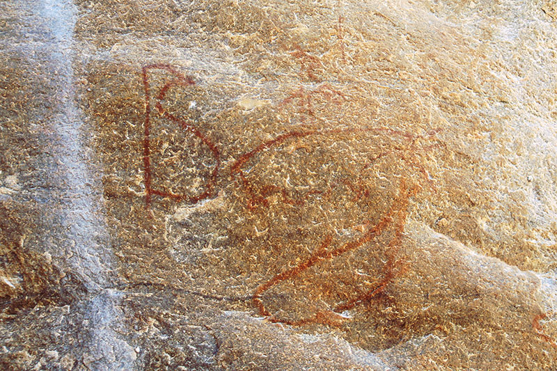 ツォディロ・ヒルズ　古代岩絵　ボツワナ　rock paintings tsodilo hills botswana