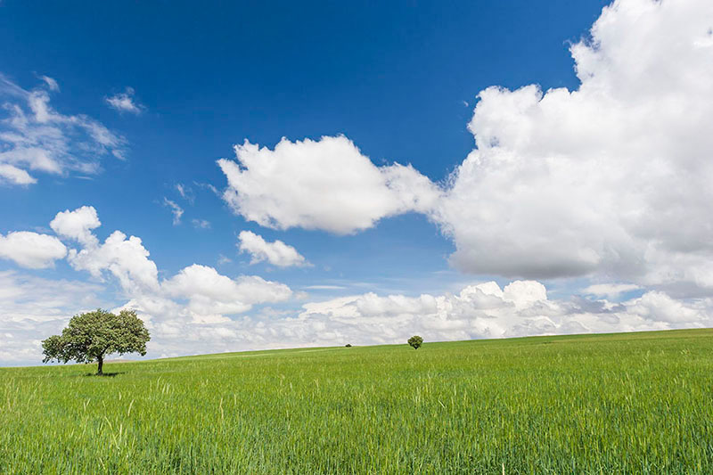 アナトリア高原　田園風景 トルコAgricultural fields Anatolia Turkey