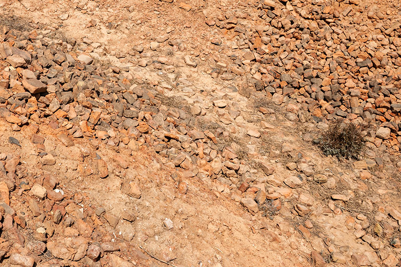 ハラッパ　パキスタン　harappa pakistan