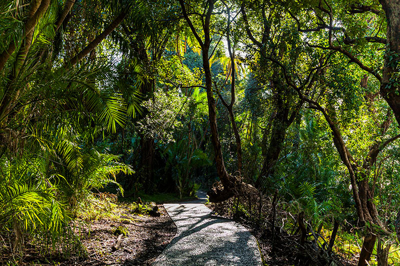 ヴィクトリア滝　ジンバブエ　滝公園遊歩道 victoria falls trek course zimbabwe
